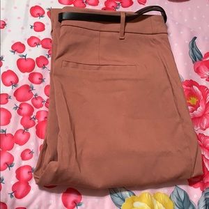 Business pant (plush) (brand new)